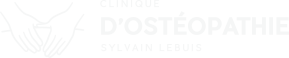 logo sylvain lebuis